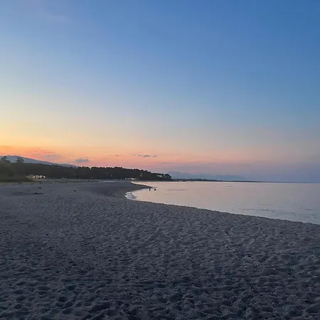 Pieds Dans L'eau Sur Port De Plaisance *