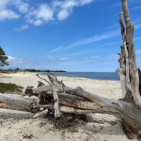 Pieds Dans L'eau Sur Port De Plaisance