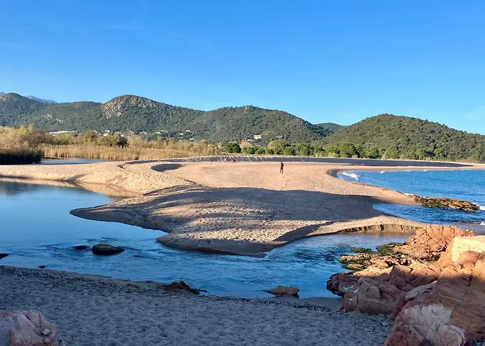 Pieds Dans L'eau Sur Port De Plaisance * Sari-Solenzara