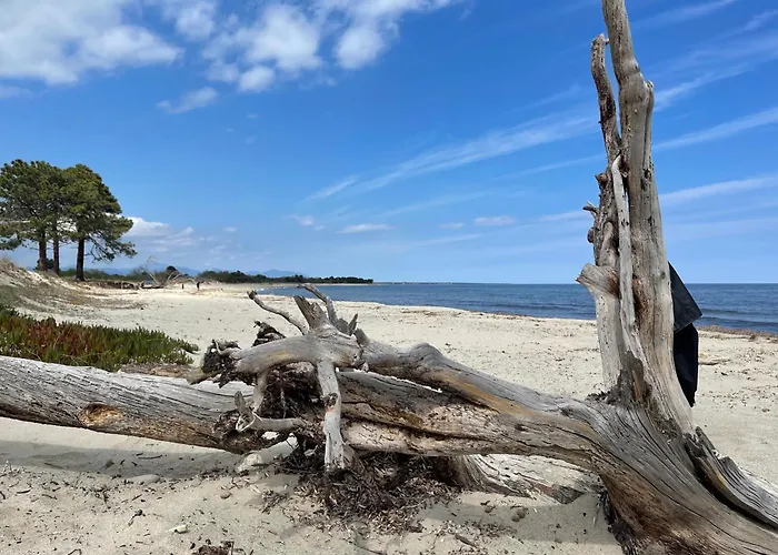 Pieds Dans L'eau Sur Port De Plaisance