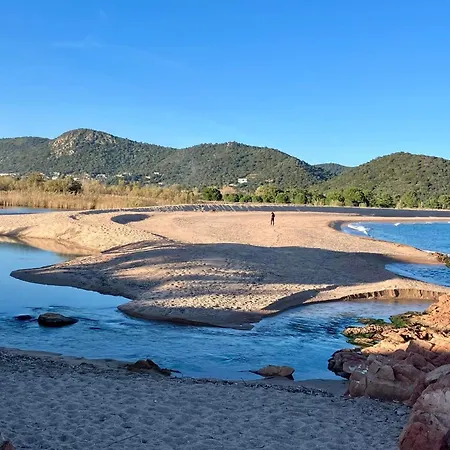 Pieds Dans L'eau Sur Port De Plaisance * 사리 솔렌자라