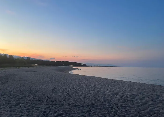 Pieds Dans L'eau Sur Port De Plaisance *